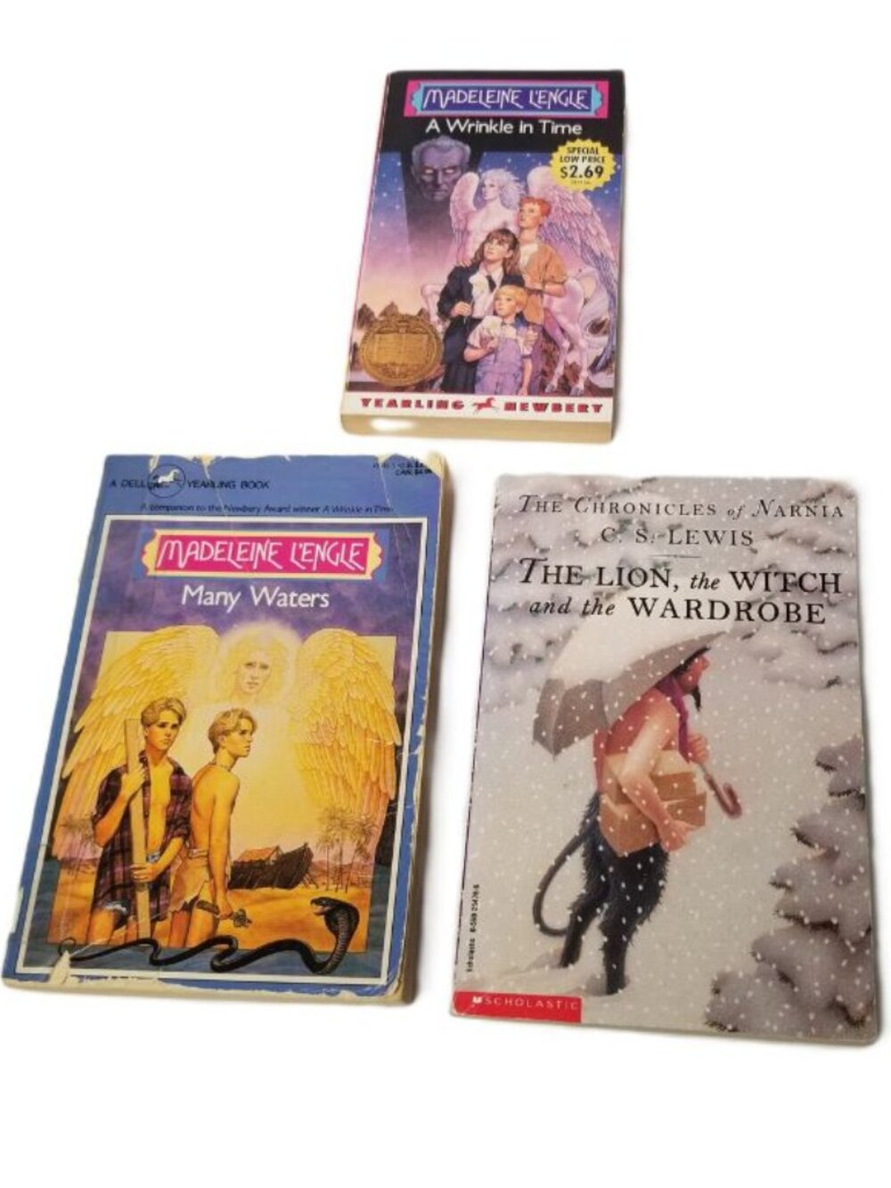 Fantasy Book Bundle Wrinkle in Time Narnia Lion Witch Wardrobe